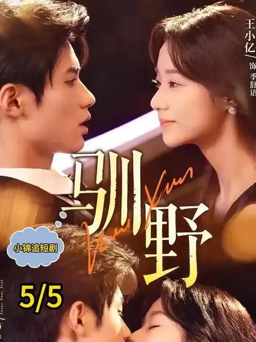 她的第二次春天都市情感剧海报